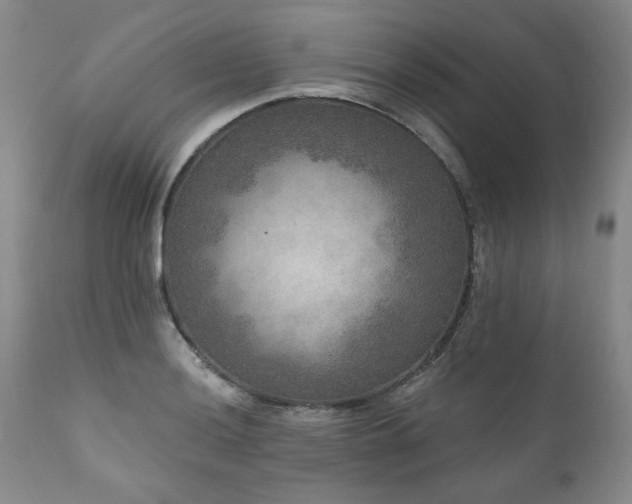X0000111161036200906301355