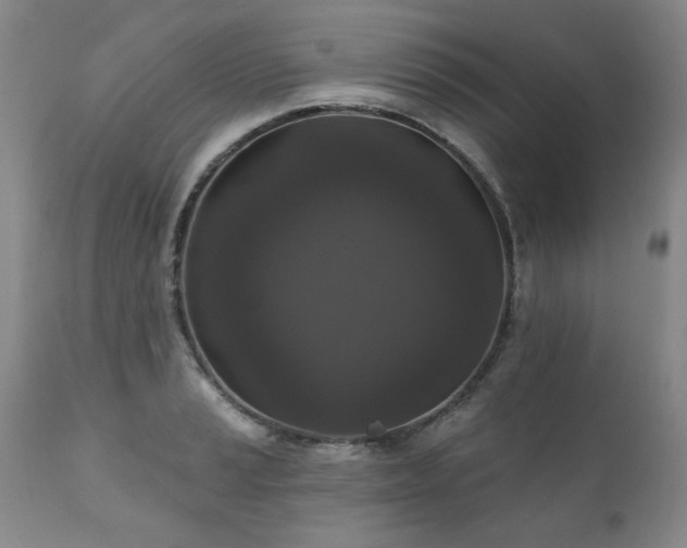 X0000111161037200906301355