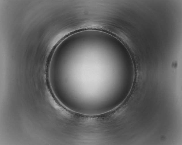 X0000111161038200906301356