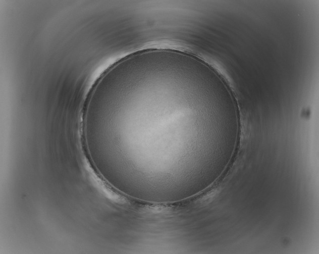 X0000111161040200906301356