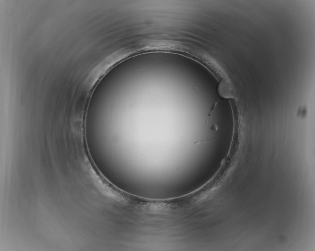 X0000111161041200906301356
