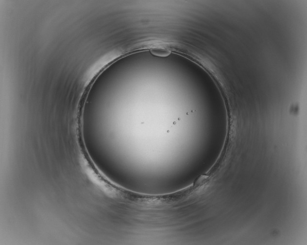X0000111161042200906301356