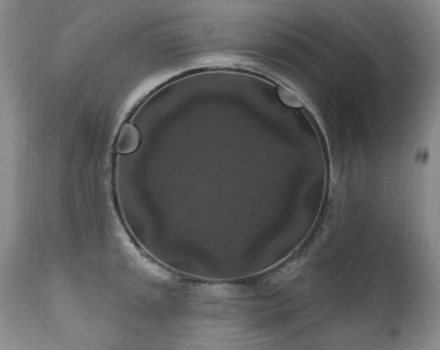 X0000111161045200906301356