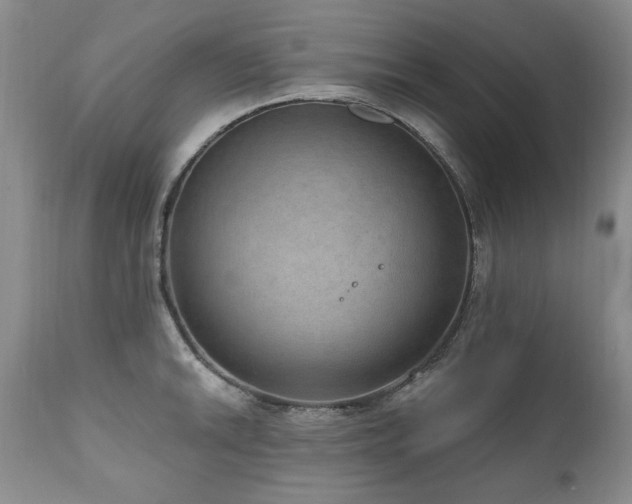 X0000111161046200906301356