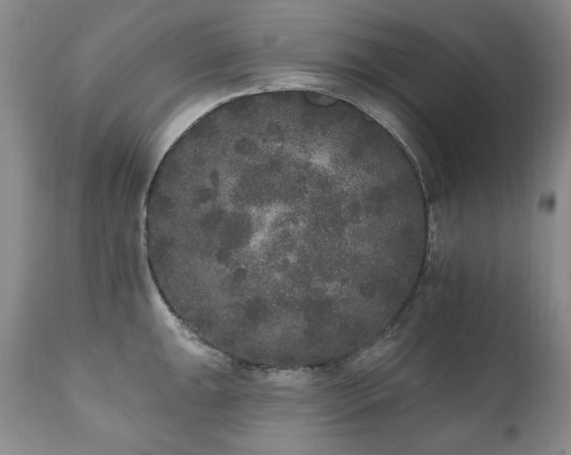 X0000111161047200906301356