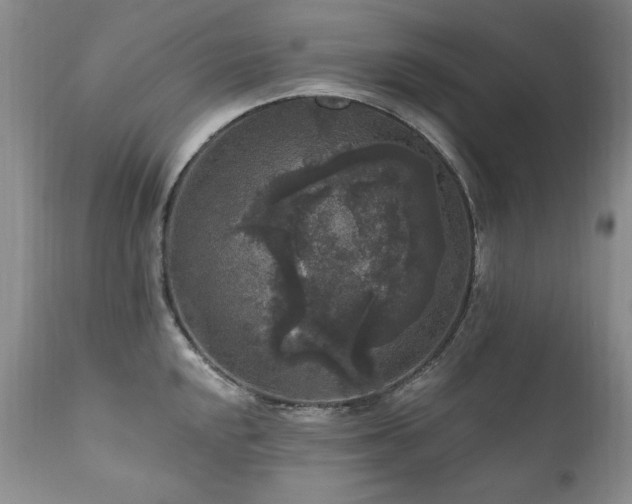 X0000111161048200906301356