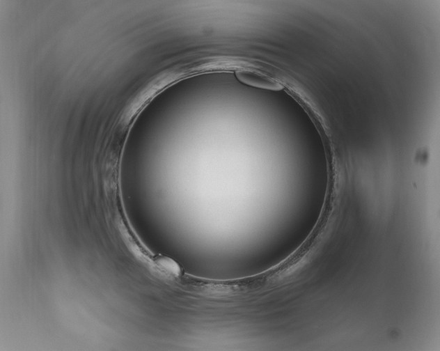 X0000111161049200906301356