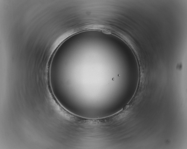 X0000111161050200906301356