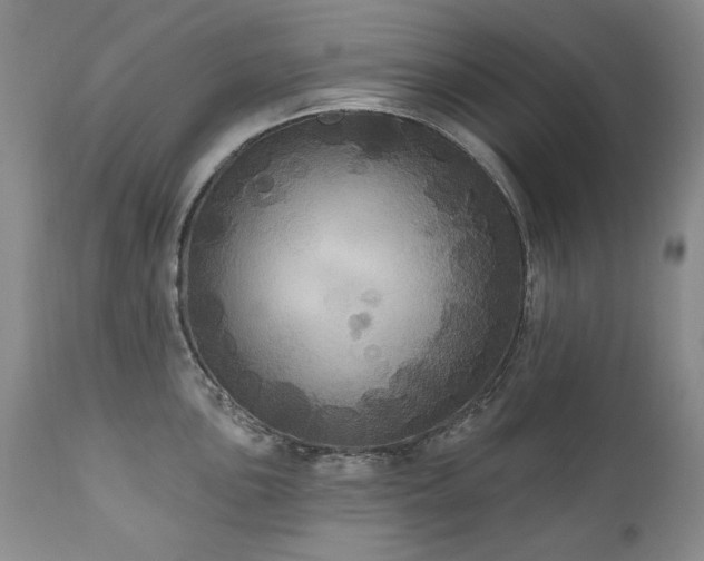 X0000111161051200906301356