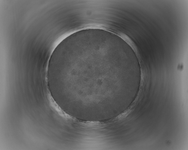 X0000111161052200906301356