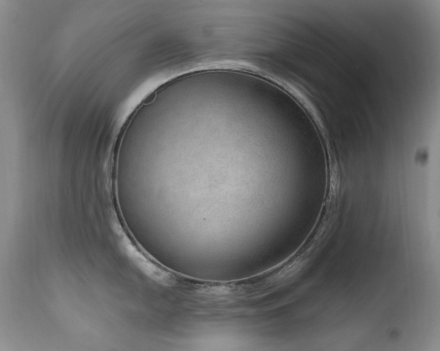 X0000111161054200906301356