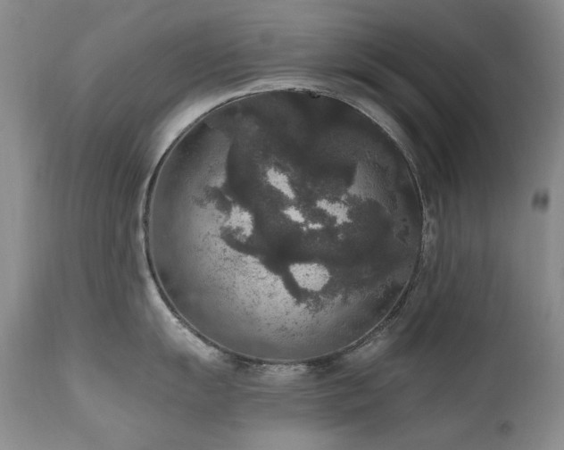 X0000111161055200906301356
