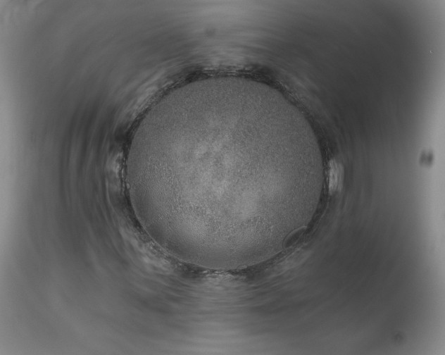 X0000111161059200906301355