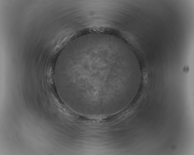X0000111161060200906301355