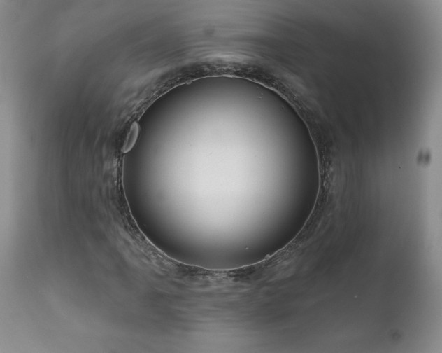 X0000111161061200906301355