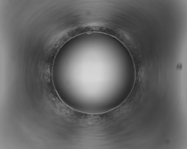 X0000111161062200906301355