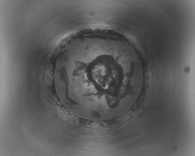 X0000111161063200906301355