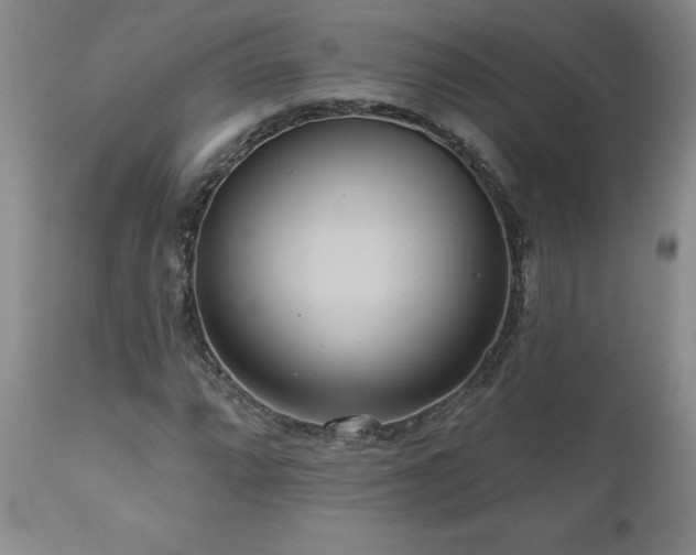 X0000111161064200906301355