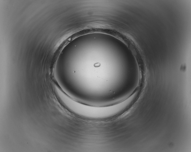 X0000111161065200906301355