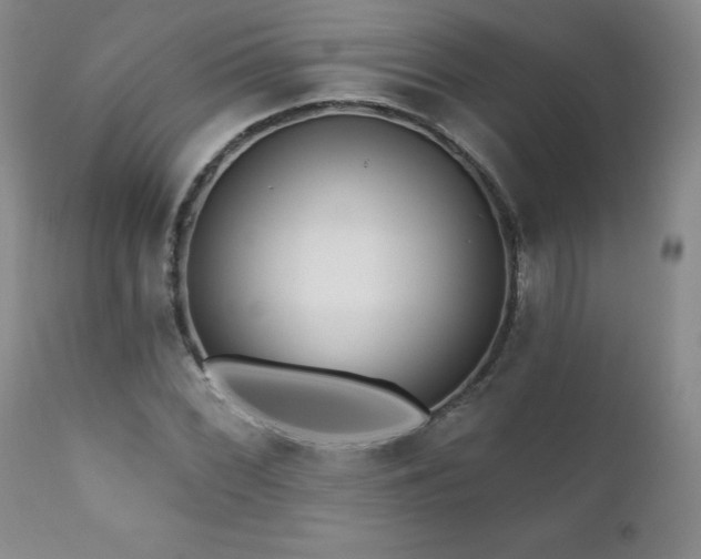 X0000111161068200906301355