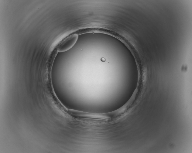X0000111161069200906301355