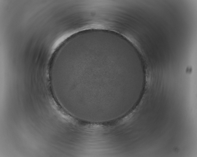 X0000111161070200906301355