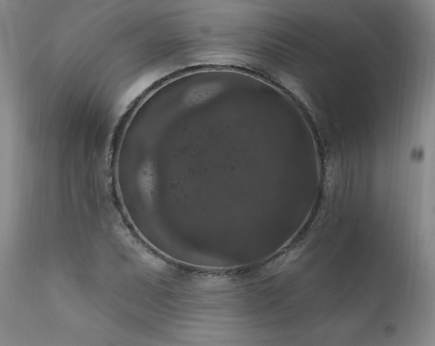 X0000111161071200906301355