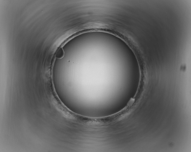 X0000111161073200906301355