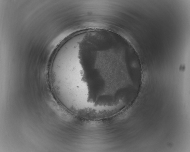 X0000111161074200906301355