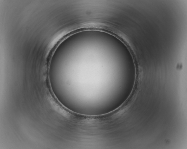 X0000111161075200906301355
