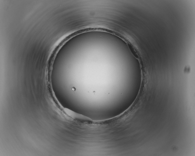 X0000111161076200906301355