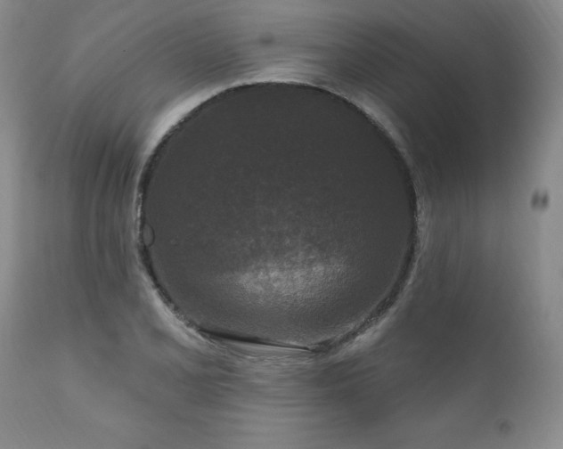 X0000111161077200906301355