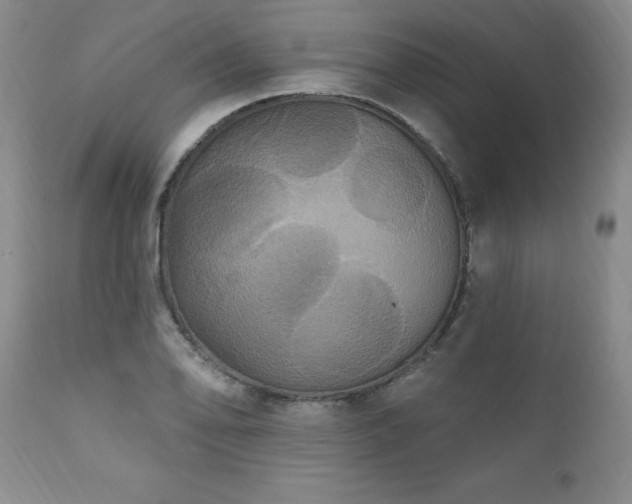 X0000111161078200906301355