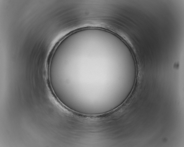 X0000111161080200906301355