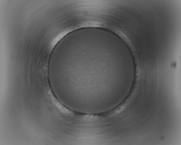 X0000111161081200906301355