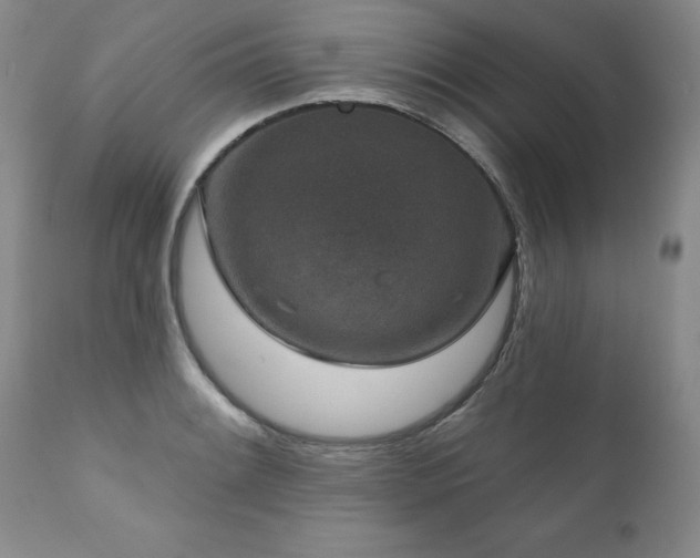 X0000111161084200906301355