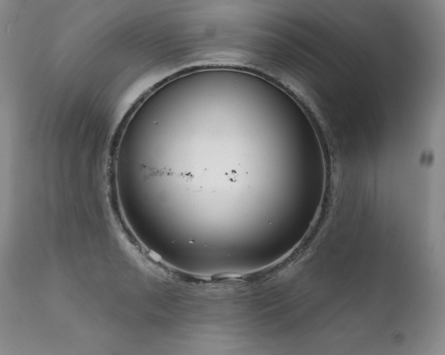 X0000111161085200906301355