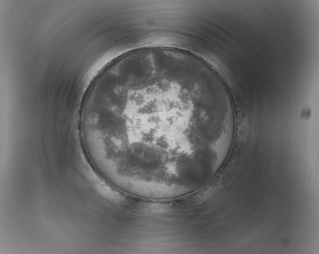 X0000111161086200906301355