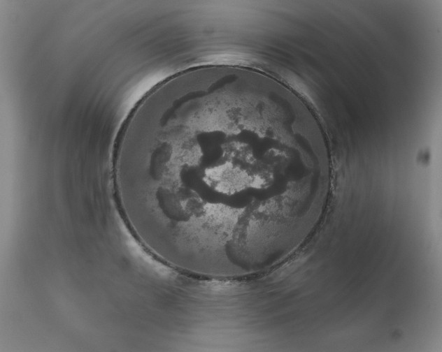 X0000111161087200906301355