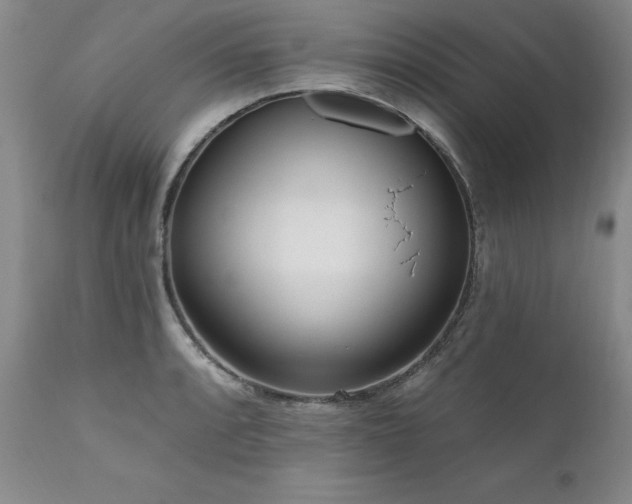 X0000111161088200906301355