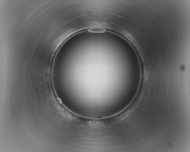 X0000111161089200906301355