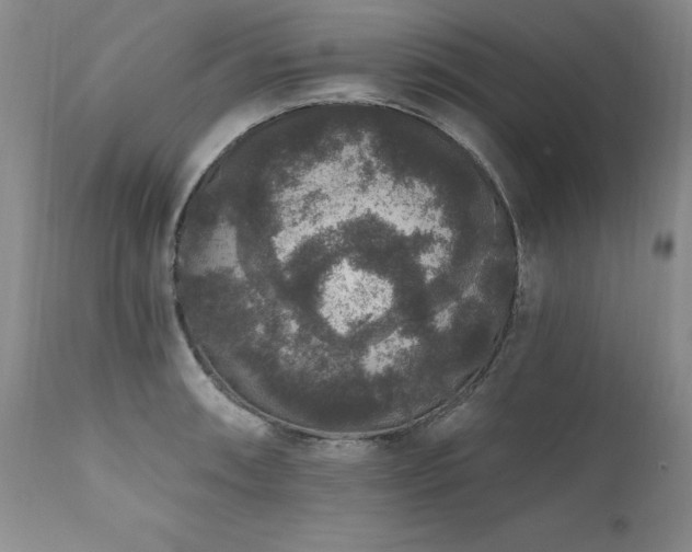 X0000111161090200906301355