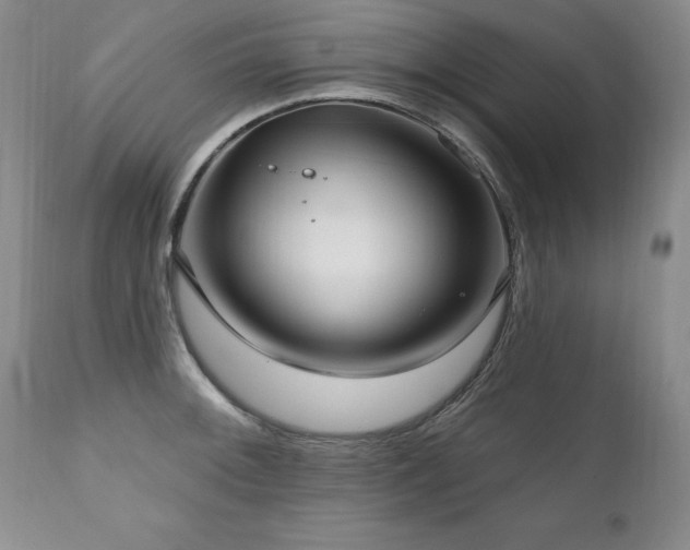 X0000111161092200906301355