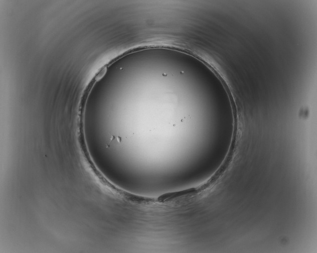 X0000111161093200906301355