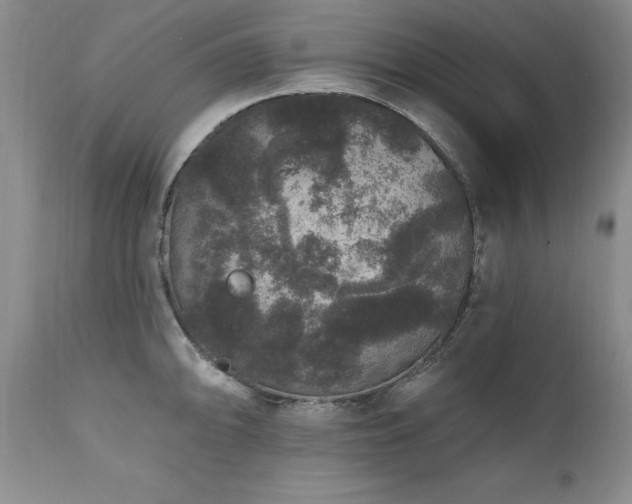 X0000111161094200906301355