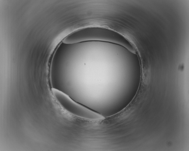 X0000111161096200906301355