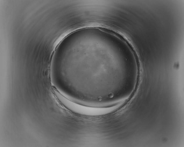 X0000111161097200906301355