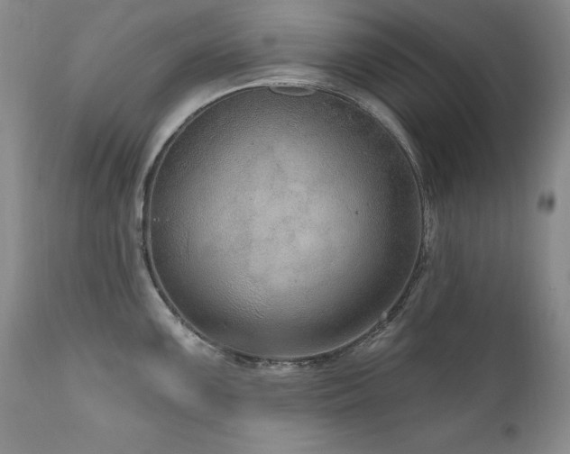 X0000111161099200906301354