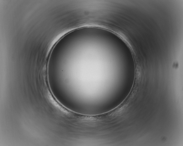 X0000111161100200906301354