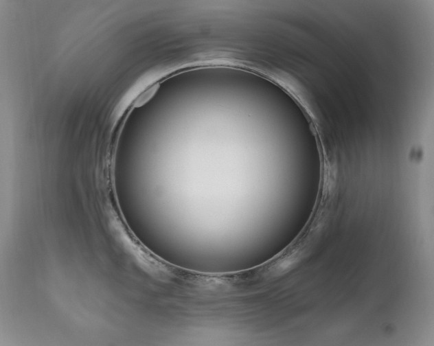 X0000111161101200906301354
